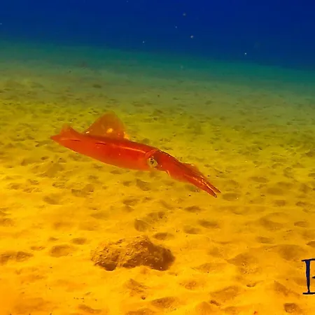 Azul De Eden Apartmán