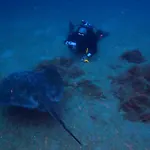 Lägenhet Azul De Eden Tías