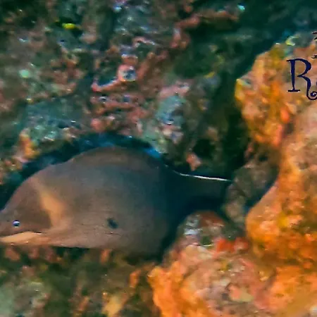 Azul De Eden Апартаменты *