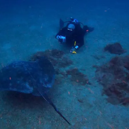 Апартаменты Azul De Eden Тиас