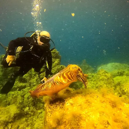 Апартаменты Azul De Eden